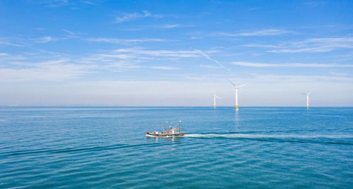 中國(guó)海上風(fēng)電再次領(lǐng)先 40層樓高風(fēng)力發(fā)電機(jī)，一臺(tái)轉(zhuǎn)動(dòng)創(chuàng)造4億元陸路國(guó)際貨運(yùn)業(yè)務(wù)