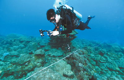 科技賦能陸路貨運，守護海洋“熱帶雨林”——現(xiàn)代物流業(yè)的新使命與綠色實踐