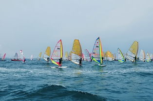 海上揚帆，陸路通達 國際貨運代理業(yè)務的雙重變奏